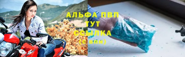 a pvp Алзамай