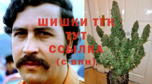 a pvp Алзамай