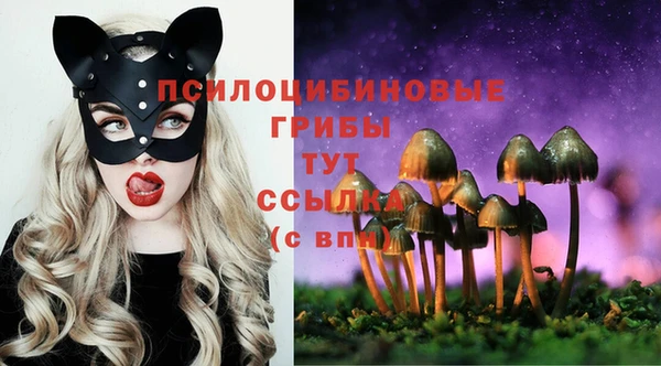 экстази Алексин