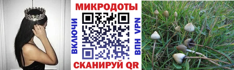OMG сайт  Урус-Мартан  Галлюциногенные грибы MAGIC MUSHROOMS 